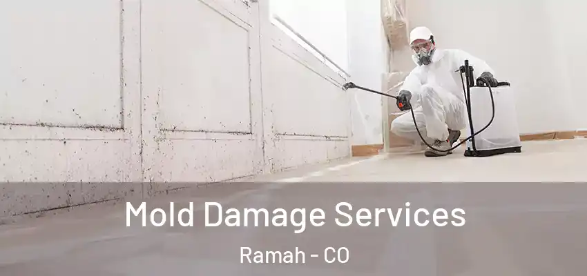  Mold Damage Services Ramah - CO