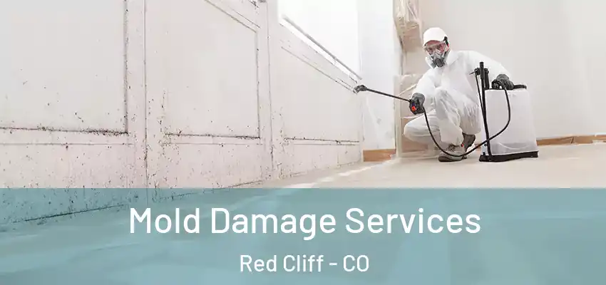 Mold Damage Services Red Cliff - CO