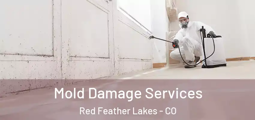  Mold Damage Services Red Feather Lakes - CO