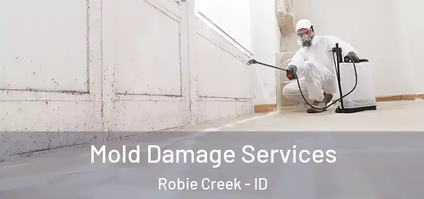  Mold Damage Services Robie Creek - ID