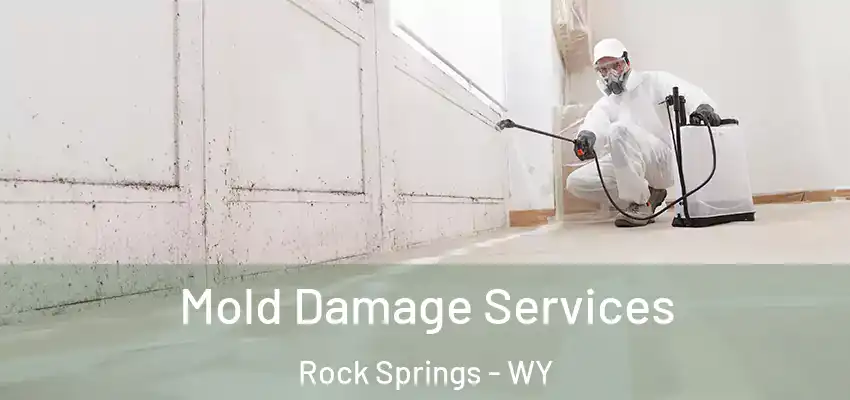 Mold Damage Services Rock Springs - WY