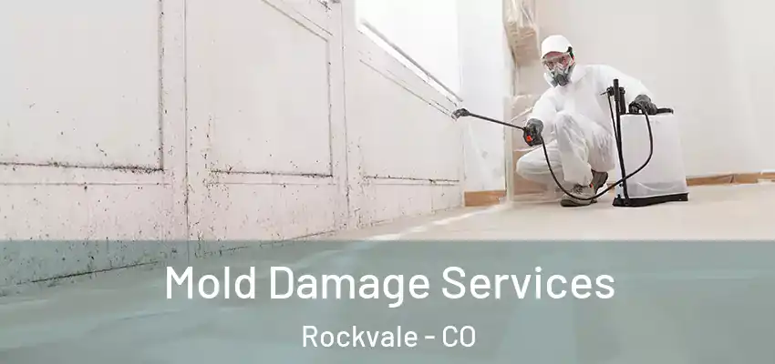 Mold Damage Services Rockvale - CO