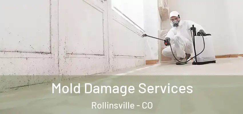  Mold Damage Services Rollinsville - CO