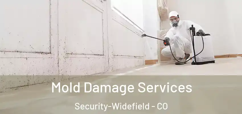 Mold Damage Services Security-Widefield - CO