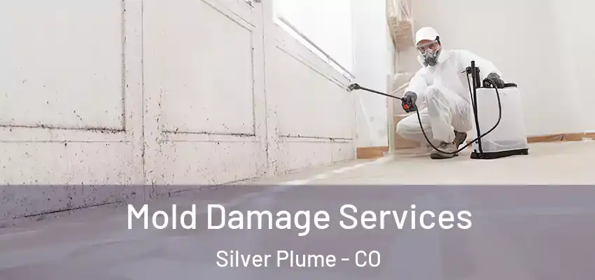 Mold Damage Services Silver Plume - CO