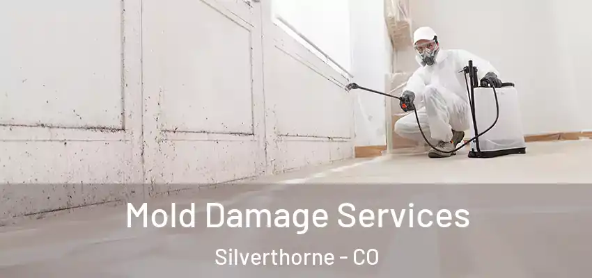 Mold Damage Services Silverthorne - CO