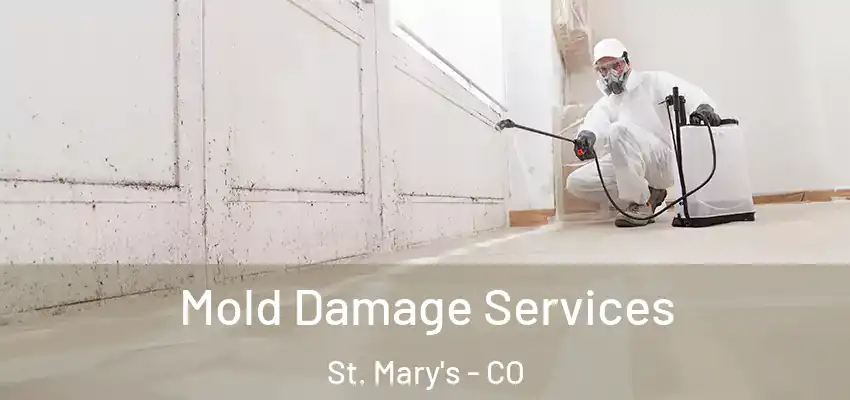Mold Damage Services St. Mary's - CO