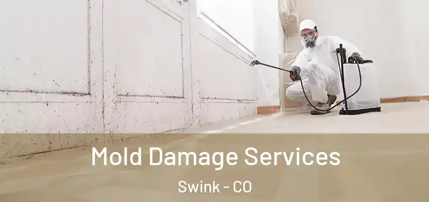 Mold Damage Services Swink - CO