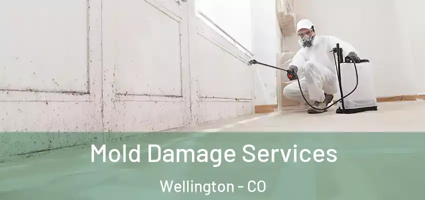 Mold Damage Services Wellington - CO
