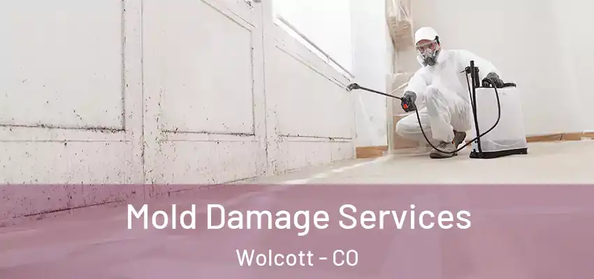 Mold Damage Services Wolcott - CO