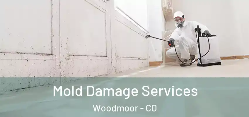 Mold Damage Services Woodmoor - CO