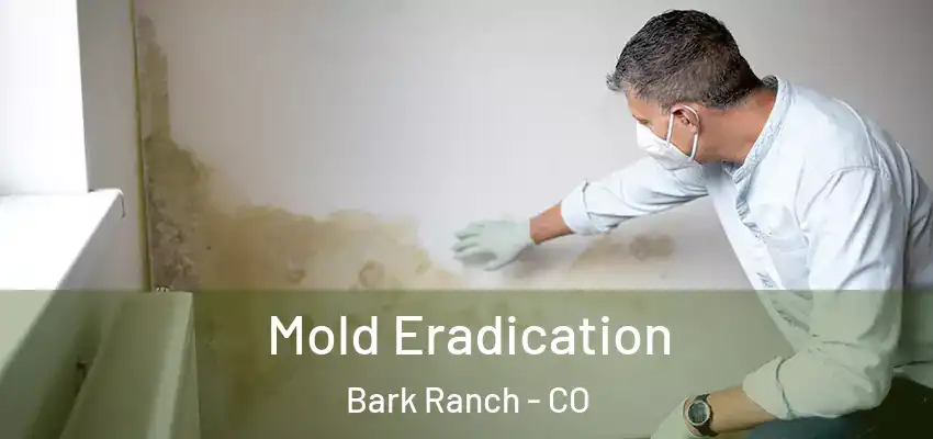  Mold Eradication Bark Ranch - CO