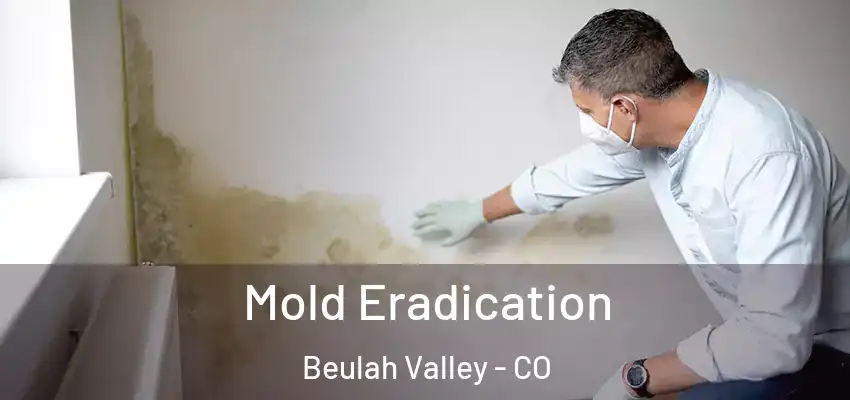  Mold Eradication Beulah Valley - CO