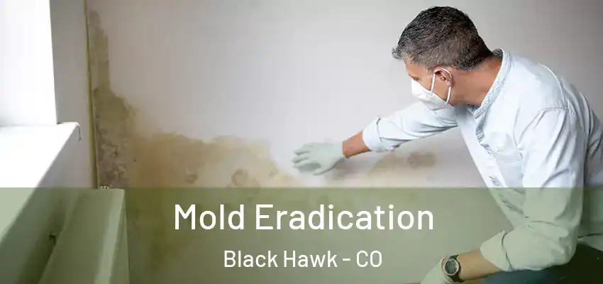  Mold Eradication Black Hawk - CO