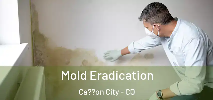  Mold Eradication Ca??on City - CO