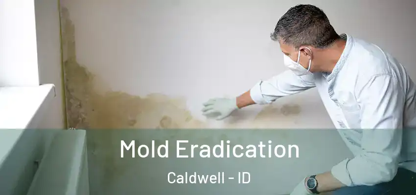  Mold Eradication Caldwell - ID