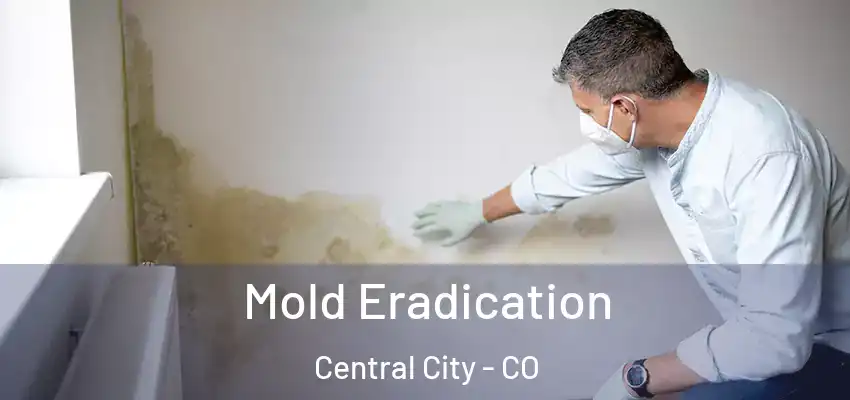  Mold Eradication Central City - CO