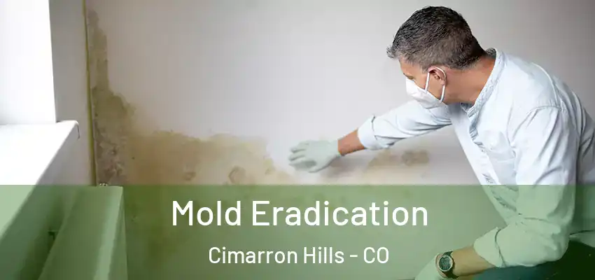  Mold Eradication Cimarron Hills - CO