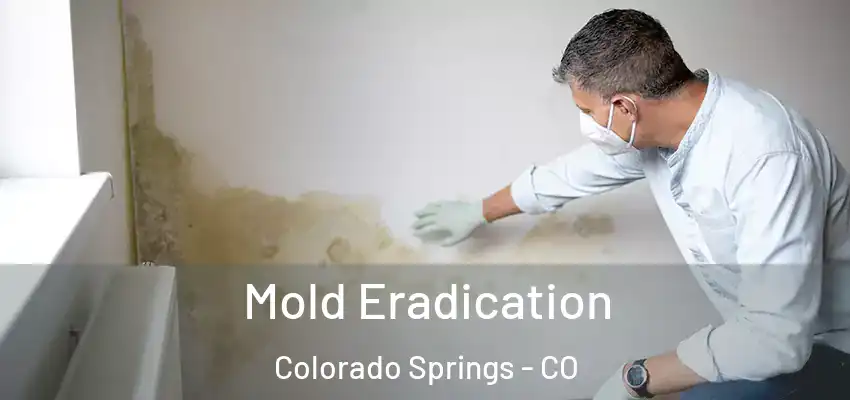  Mold Eradication Colorado Springs - CO