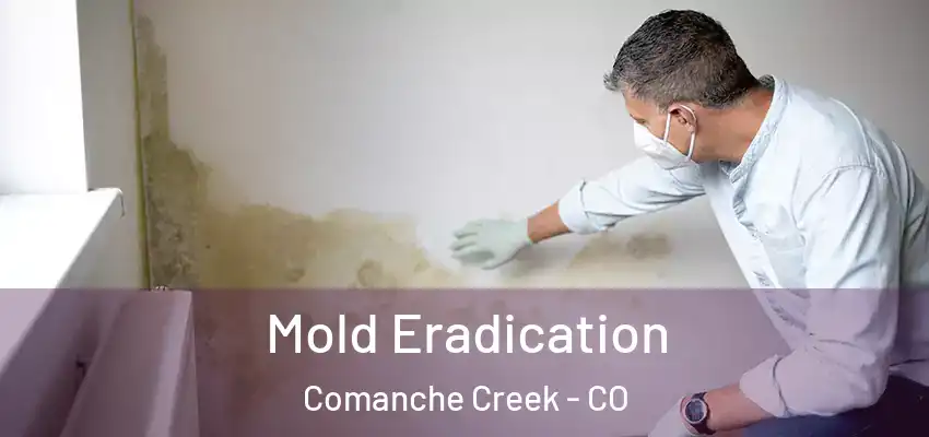  Mold Eradication Comanche Creek - CO