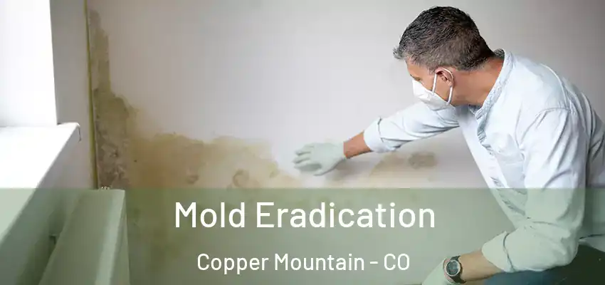 Mold Eradication Copper Mountain - CO