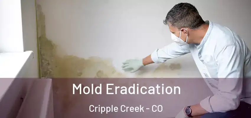  Mold Eradication Cripple Creek - CO