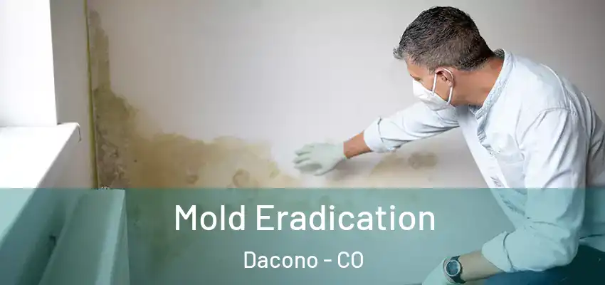 Mold Eradication Dacono - CO