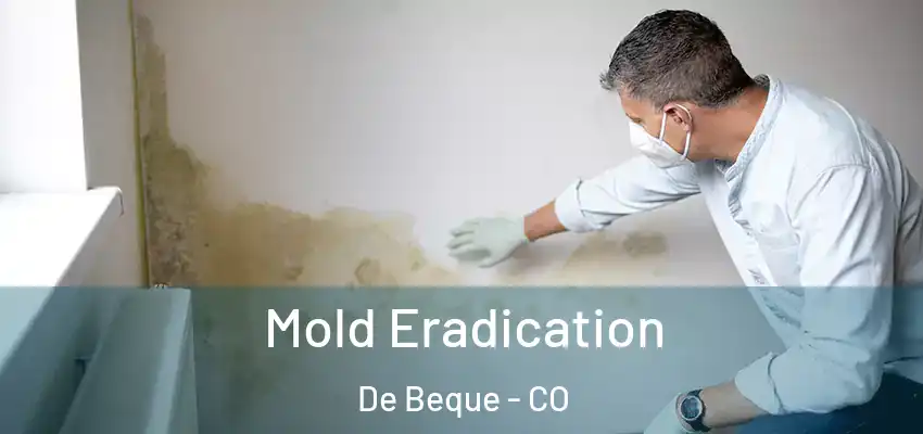 Mold Eradication De Beque - CO