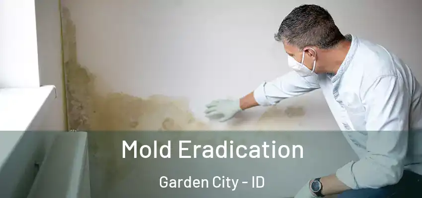  Mold Eradication Garden City - ID