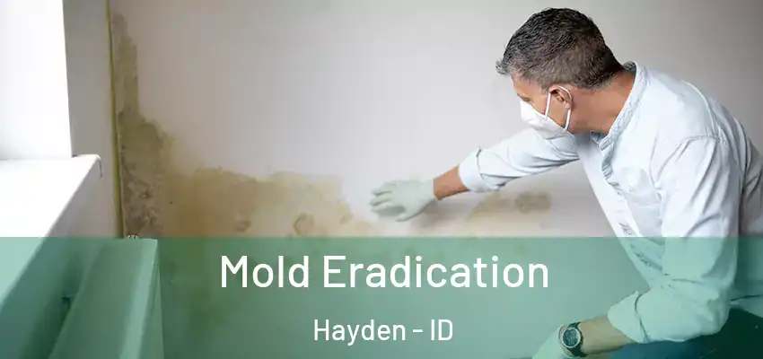  Mold Eradication Hayden - ID