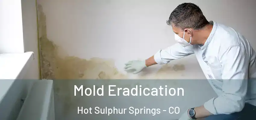  Mold Eradication Hot Sulphur Springs - CO