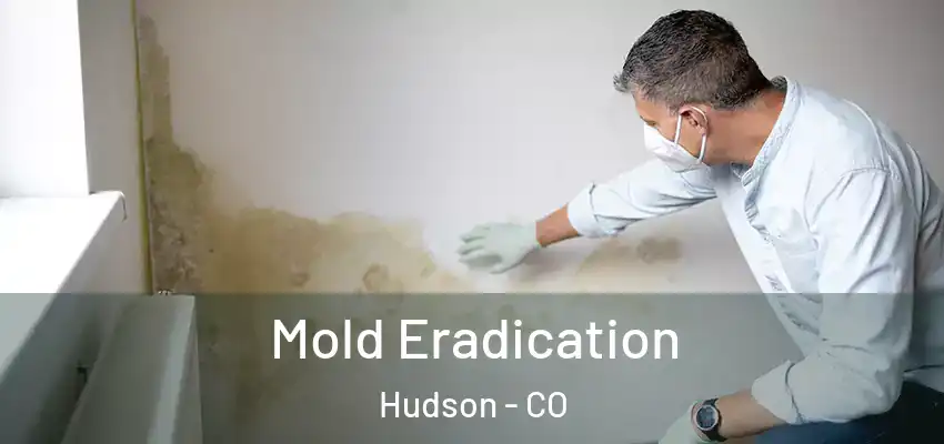 Mold Eradication Hudson - CO