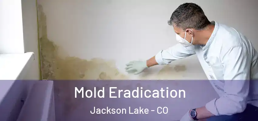 Mold Eradication Jackson Lake - CO