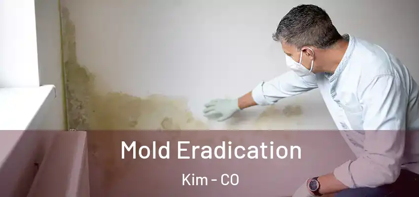 Mold Eradication Kim - CO