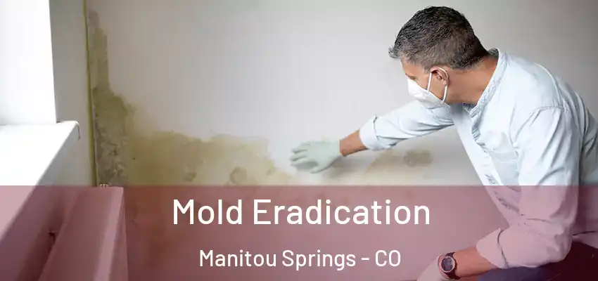 Mold Eradication Manitou Springs - CO