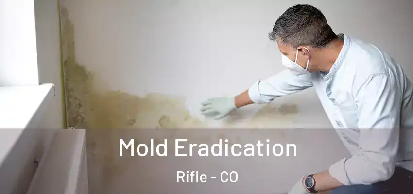 Mold Eradication Rifle - CO