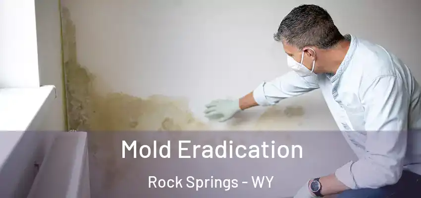  Mold Eradication Rock Springs - WY