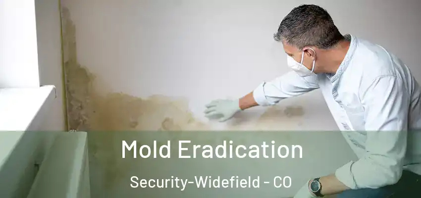 Mold Eradication Security-Widefield - CO