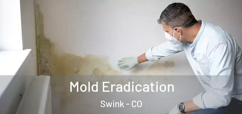 Mold Eradication Swink - CO