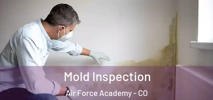  Mold Inspection Air Force Academy - CO