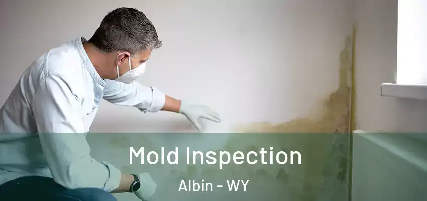  Mold Inspection Albin - WY