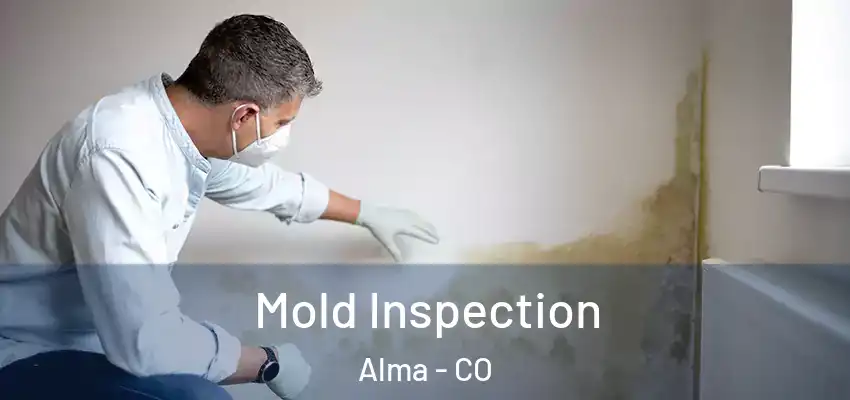  Mold Inspection Alma - CO