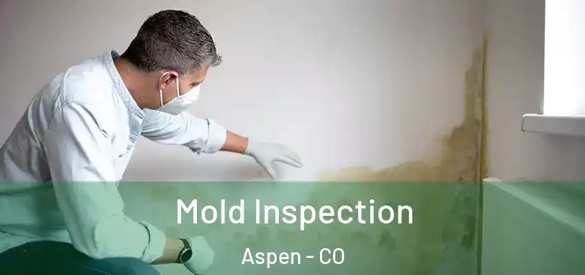  Mold Inspection Aspen - CO