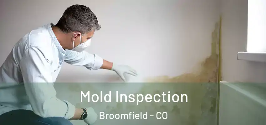  Mold Inspection Broomfield - CO