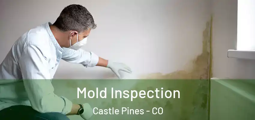  Mold Inspection Castle Pines - CO