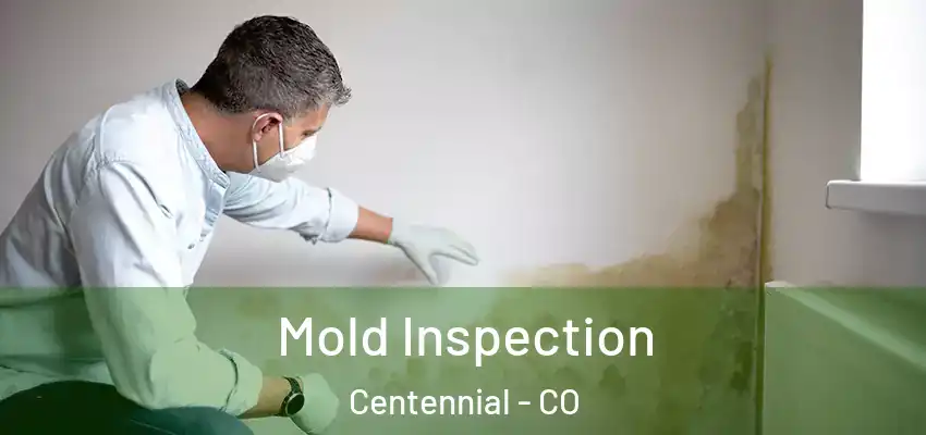  Mold Inspection Centennial - CO