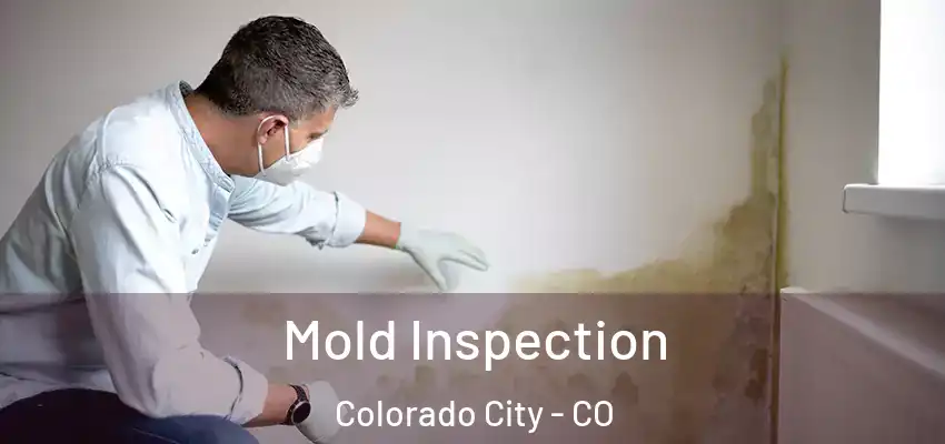  Mold Inspection Colorado City - CO