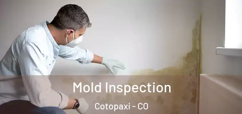 Mold Inspection Cotopaxi - CO