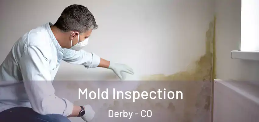 Mold Inspection Derby - CO