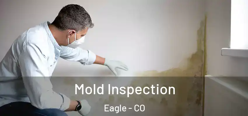 Mold Inspection Eagle - CO